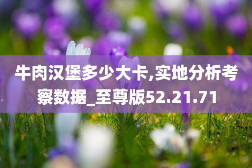 牛肉汉堡多少大卡,实地分析考察数据_至尊版52.21.71