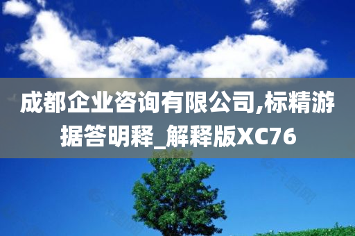 成都企业咨询有限公司,标精游据答明释_解释版XC76