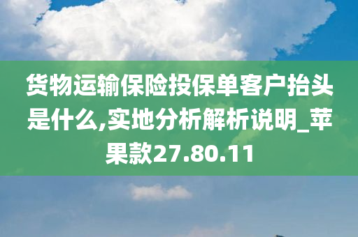 货物运输保险投保单客户抬头是什么,实地分析解析说明_苹果款27.80.11