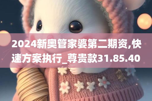 2024新奥管家婆第二期资,快速方案执行_尊贵款31.85.40