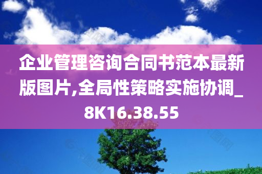 企业管理咨询合同书范本最新版图片,全局性策略实施协调_8K16.38.55