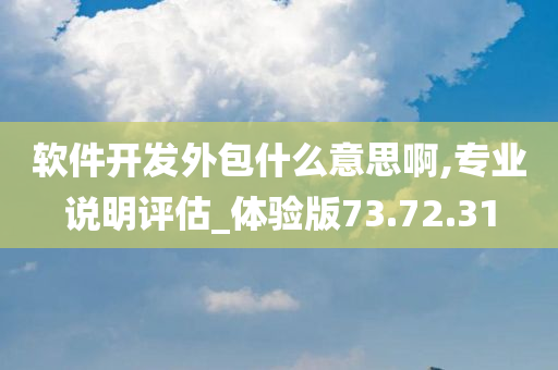 软件开发外包什么意思啊,专业说明评估_体验版73.72.31