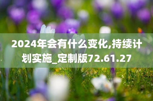 2024年会有什么变化,持续计划实施_定制版72.61.27