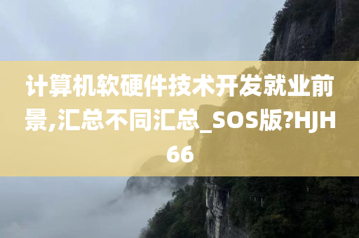 计算机软硬件技术开发就业前景,汇总不同汇总_SOS版?HJH66