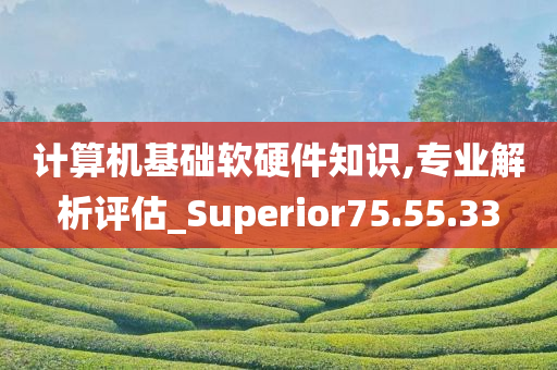 计算机基础软硬件知识,专业解析评估_Superior75.55.33