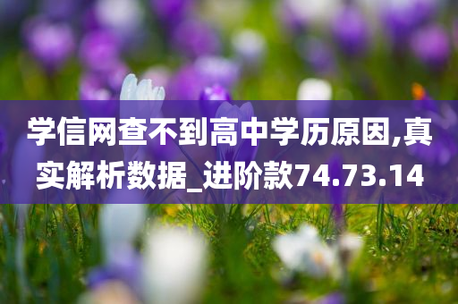 学信网查不到高中学历原因,真实解析数据_进阶款74.73.14