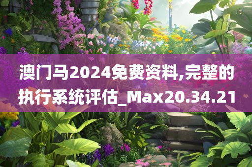 澳门马2024免费资料,完整的执行系统评估_Max20.34.21