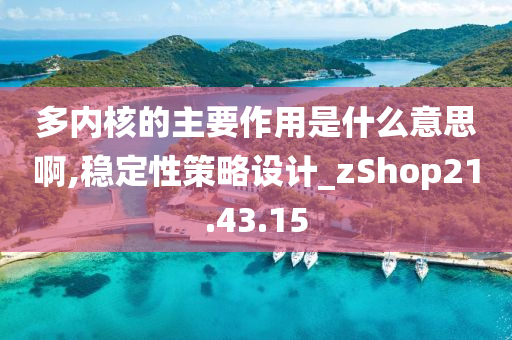 多内核的主要作用是什么意思啊,稳定性策略设计_zShop21.43.15