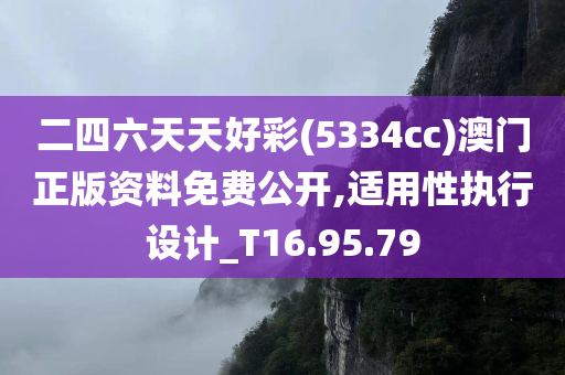 二四六天天好彩(5334cc)澳门正版资料免费公开,适用性执行设计_T16.95.79