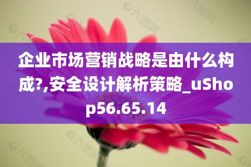 企业市场营销战略是由什么构成?,安全设计解析策略_uShop56.65.14