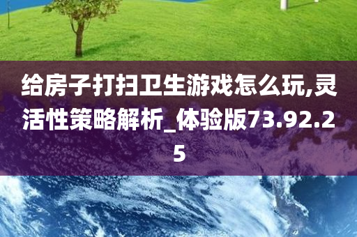 给房子打扫卫生游戏怎么玩,灵活性策略解析_体验版73.92.25