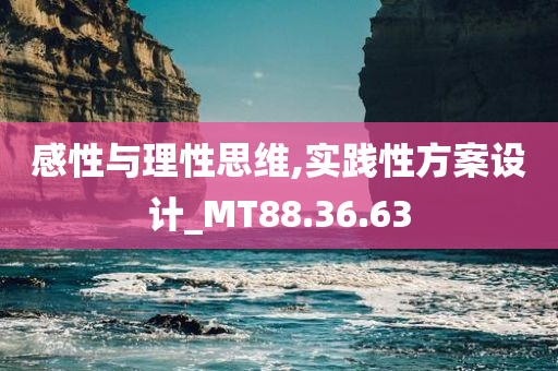 感性与理性思维,实践性方案设计_MT88.36.63