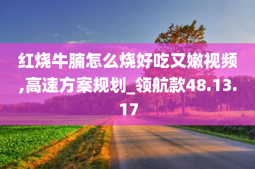 红烧牛腩怎么烧好吃又嫩视频,高速方案规划_领航款48.13.17