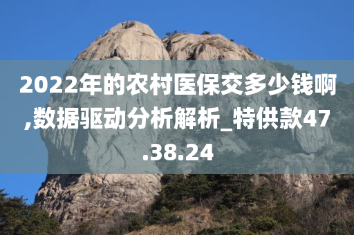 2022年的农村医保交多少钱啊,数据驱动分析解析_特供款47.38.24