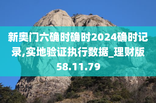 新奥门六确时确时2024确时记录,实地验证执行数据_理财版58.11.79