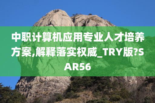 中职计算机应用专业人才培养方案,解释落实权威_TRY版?SAR56