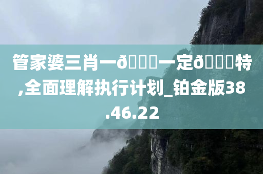 管家婆三肖一🐎一定🀄特,全面理解执行计划_铂金版38.46.22