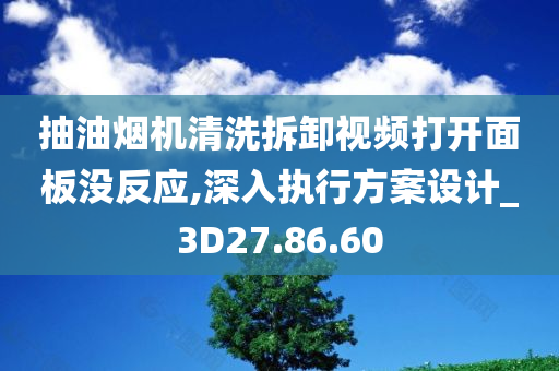 抽油烟机清洗拆卸视频打开面板没反应,深入执行方案设计_3D27.86.60