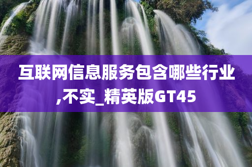 互联网信息服务包含哪些行业,不实_精英版GT45