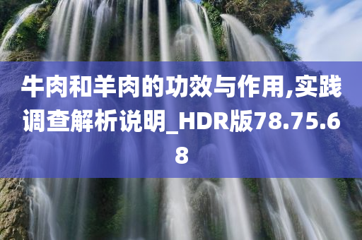 牛肉和羊肉的功效与作用,实践调查解析说明_HDR版78.75.68