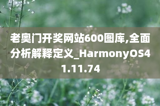 老奥门开奖网站600图库,全面分析解释定义_HarmonyOS41.11.74