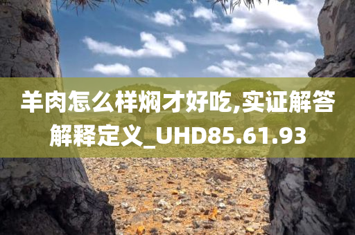 羊肉怎么样焖才好吃,实证解答解释定义_UHD85.61.93