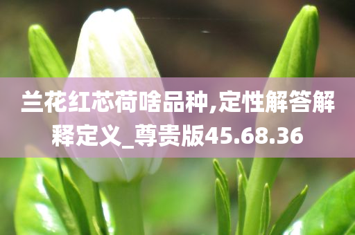 兰花红芯荷啥品种,定性解答解释定义_尊贵版45.68.36