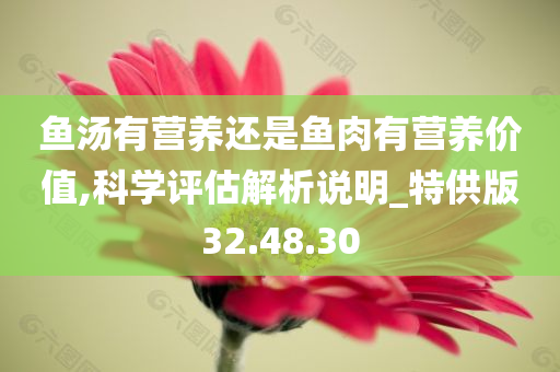 鱼汤有营养还是鱼肉有营养价值,科学评估解析说明_特供版32.48.30