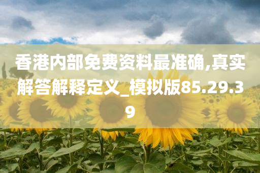 香港内部免费资料最准确,真实解答解释定义_模拟版85.29.39