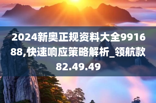 2024新奥正规资料大全991688,快速响应策略解析_领航款82.49.49