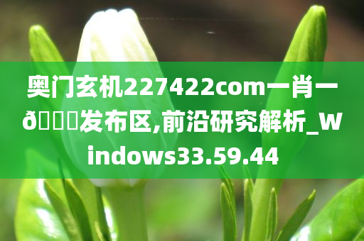 奥门玄机227422com一肖一🐎发布区,前沿研究解析_Windows33.59.44