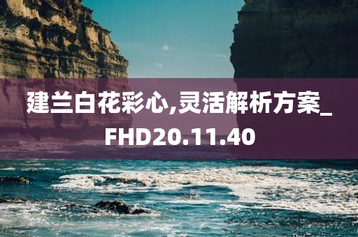 建兰白花彩心,灵活解析方案_FHD20.11.40