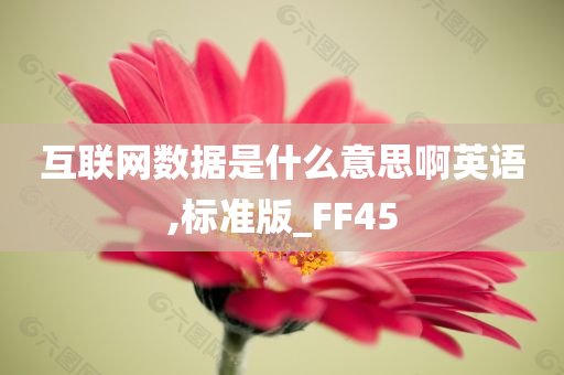 互联网数据是什么意思啊英语,标准版_FF45