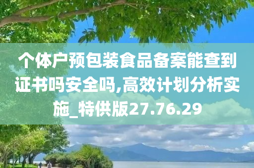 个体户预包装食品备案能查到证书吗安全吗,高效计划分析实施_特供版27.76.29