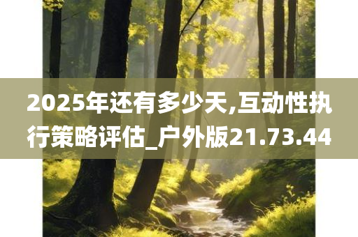 2025年还有多少天,互动性执行策略评估_户外版21.73.44