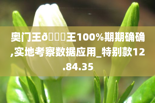 奥门王🀄王100%期期确确,实地考察数据应用_特别款12.84.35