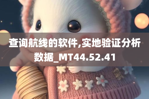 查询航线的软件,实地验证分析数据_MT44.52.41