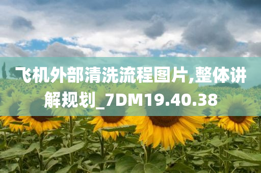 飞机外部清洗流程图片,整体讲解规划_7DM19.40.38