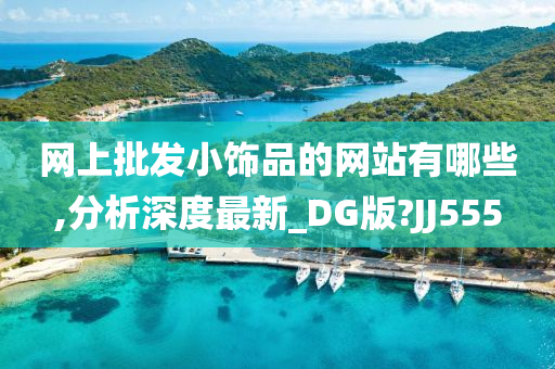 网上批发小饰品的网站有哪些,分析深度最新_DG版?JJ555