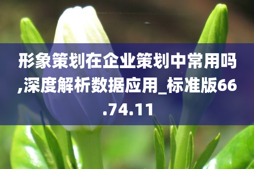 形象策划在企业策划中常用吗,深度解析数据应用_标准版66.74.11