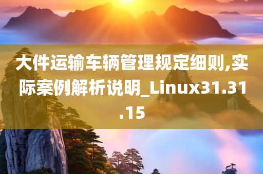 大件运输车辆管理规定细则,实际案例解析说明_Linux31.31.15