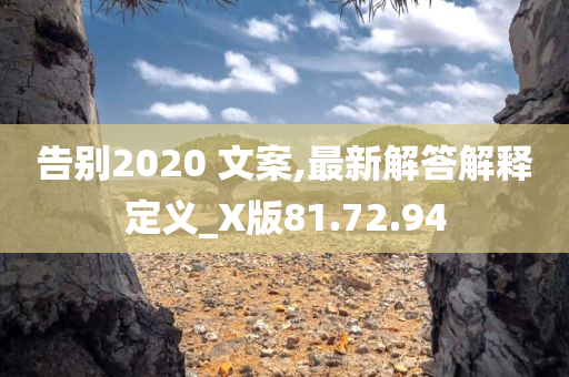 告别2020 文案,最新解答解释定义_X版81.72.94