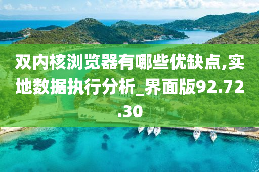 双内核浏览器有哪些优缺点,实地数据执行分析_界面版92.72.30