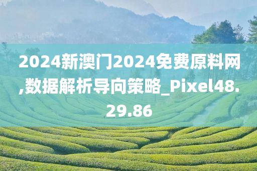 2024新澳门2024免费原料网,数据解析导向策略_Pixel48.29.86