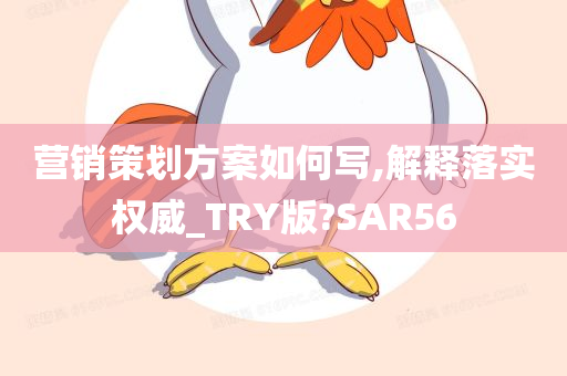 营销策划方案如何写,解释落实权威_TRY版?SAR56