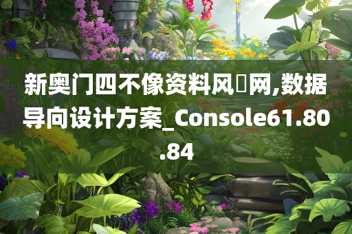 新奥门四不像资料风鳯网,数据导向设计方案_Console61.80.84