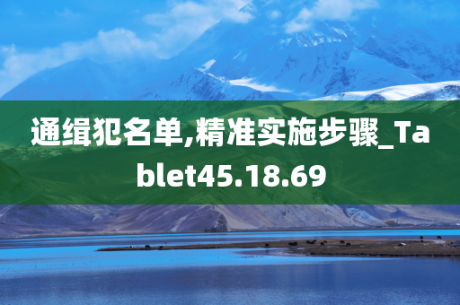 通缉犯名单,精准实施步骤_Tablet45.18.69