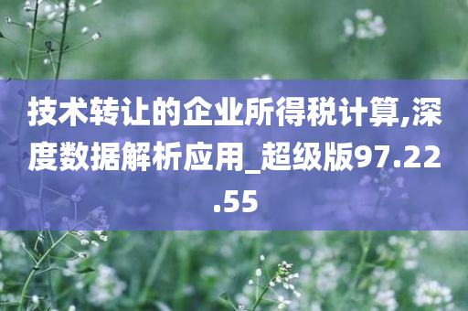 技术转让的企业所得税计算,深度数据解析应用_超级版97.22.55