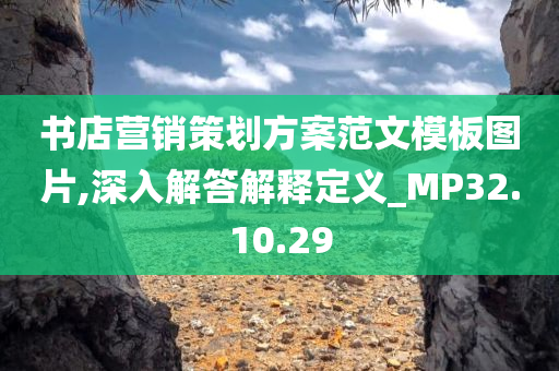 书店营销策划方案范文模板图片,深入解答解释定义_MP32.10.29