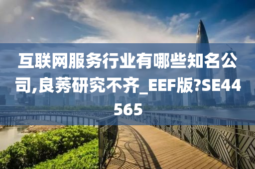 互联网服务行业有哪些知名公司,良莠研究不齐_EEF版?SE44565